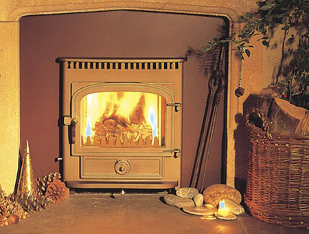 Clearview Vision Inset multi fuel / wood burning stove